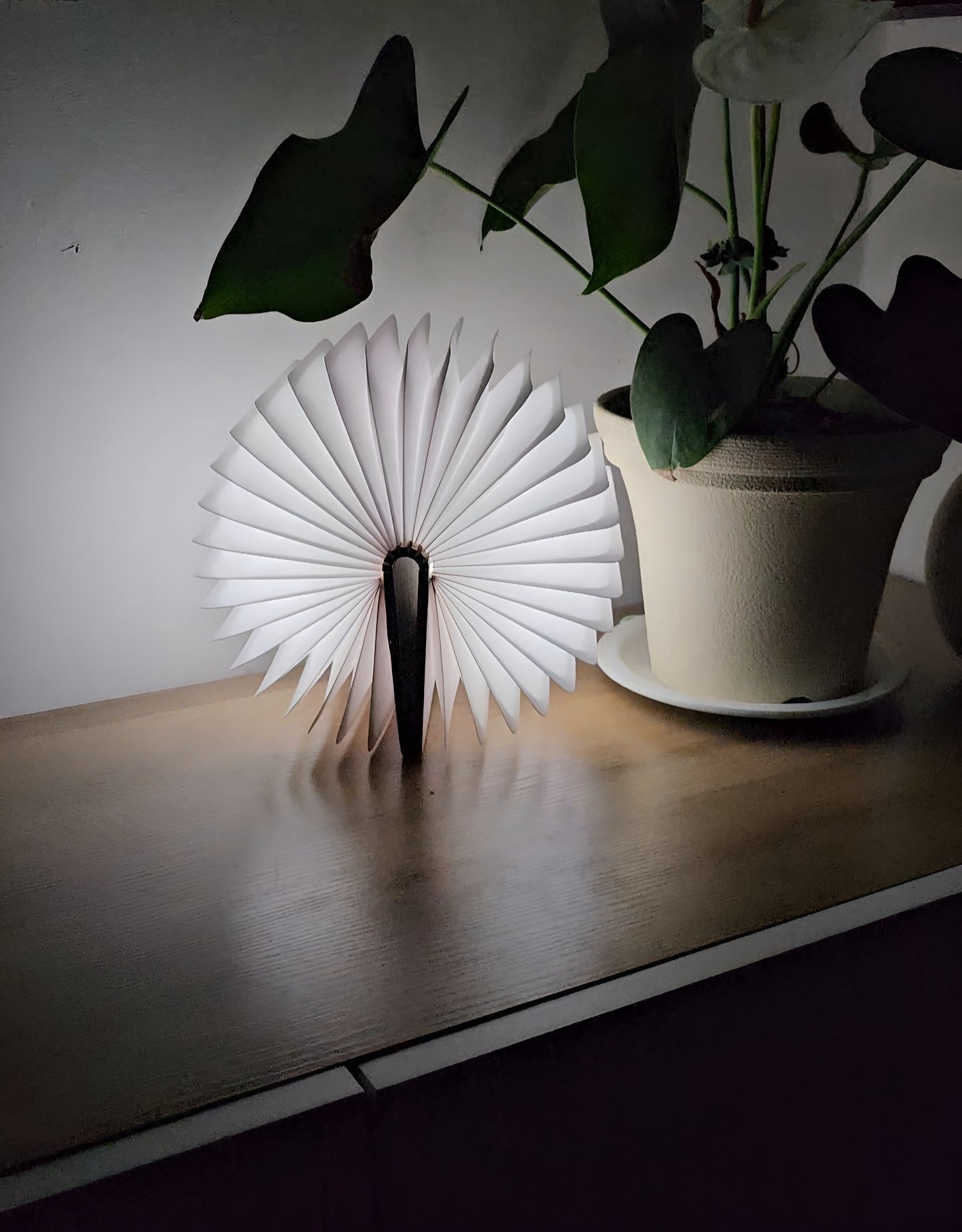 3D Folding LED Book Lamp - RGB, USB Rechargeable