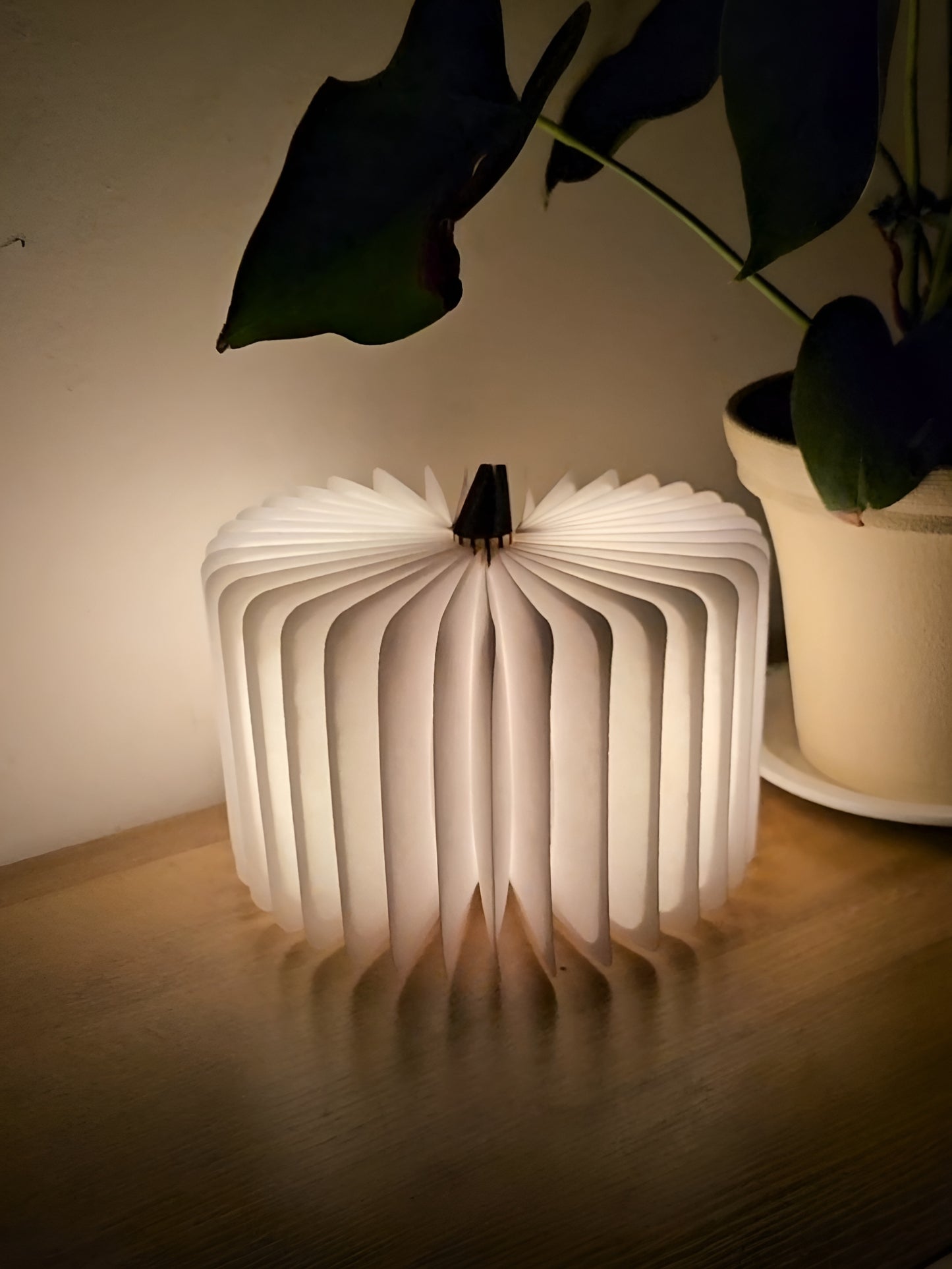 3D Folding LED Book Lamp - RGB, USB Rechargeable